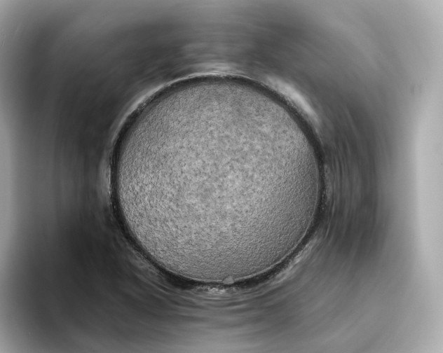 X0000095121318200712211301