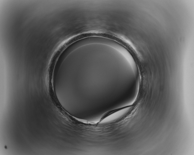 X0000095121319200712211301