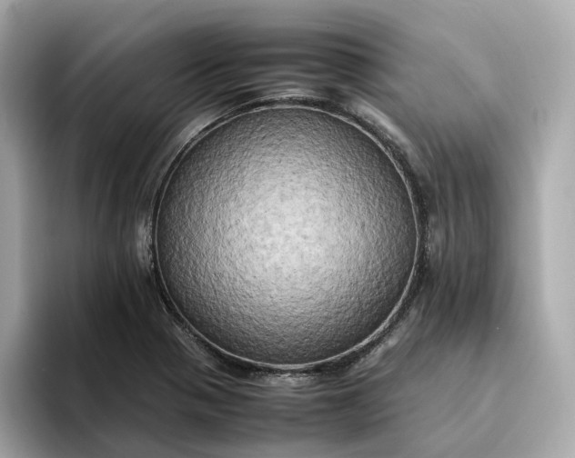 X0000095121321200712211301