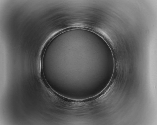 X0000095121323200712211301