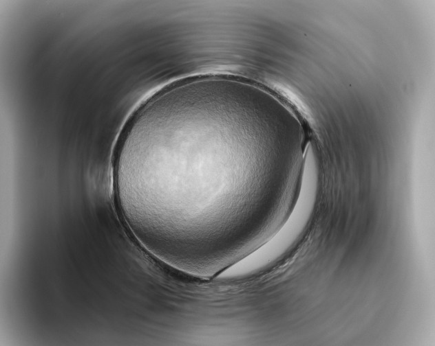 X0000095121324200712211301