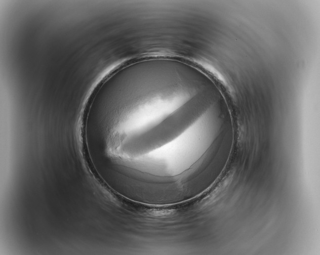 X0000095121325200712211301