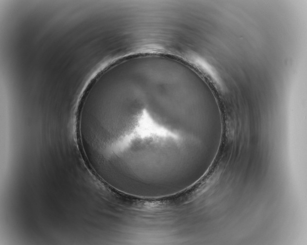 X0000095121326200712211302