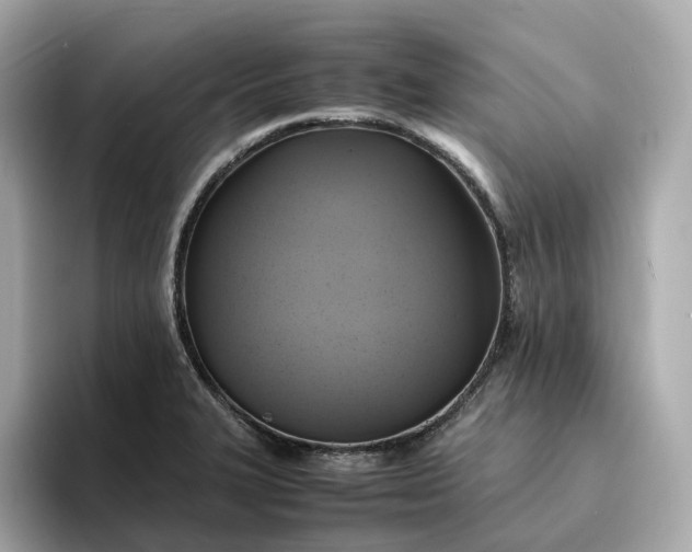 X0000095121327200712211302