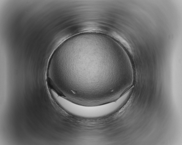 X0000095121330200712211302