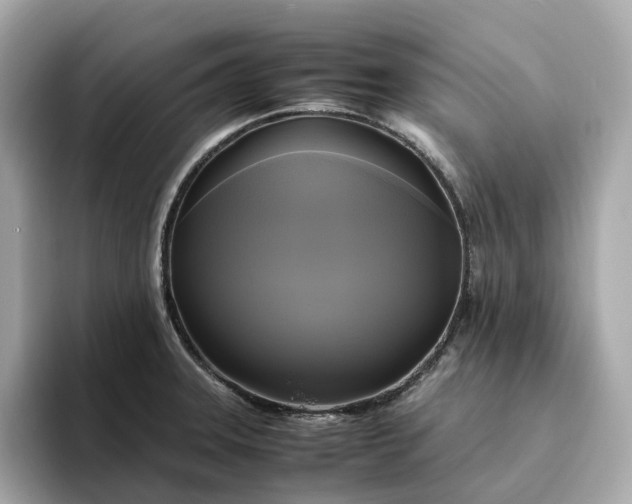 X0000095121331200712211302