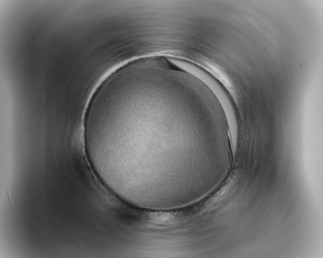 X0000095121332200712211302