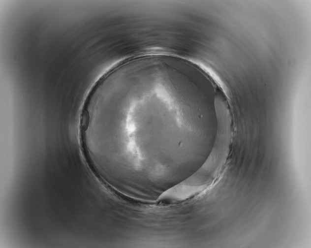 X0000095121333200712211302