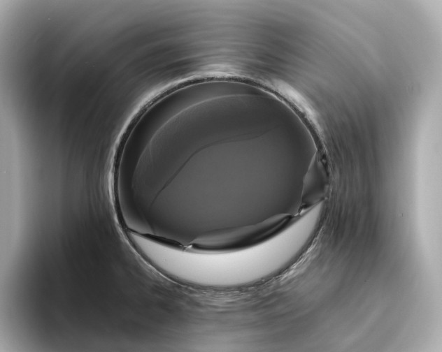 X0000095121334200712211302