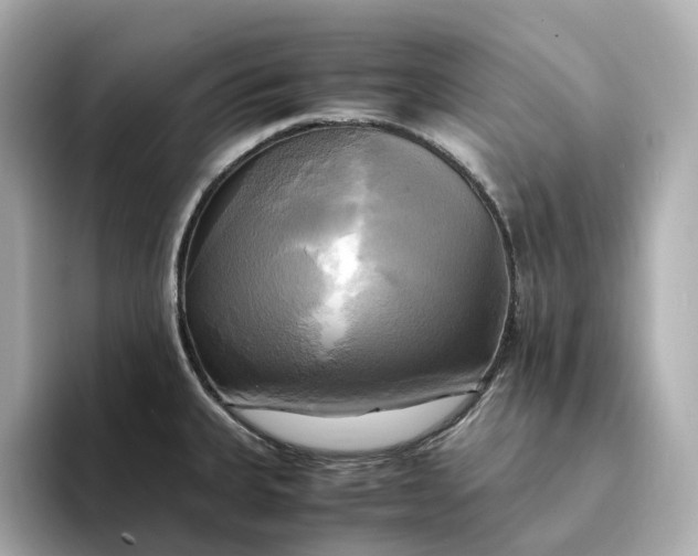 X0000095121335200712211302