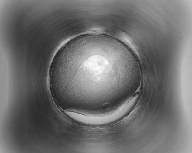 X0000095121336200712211302