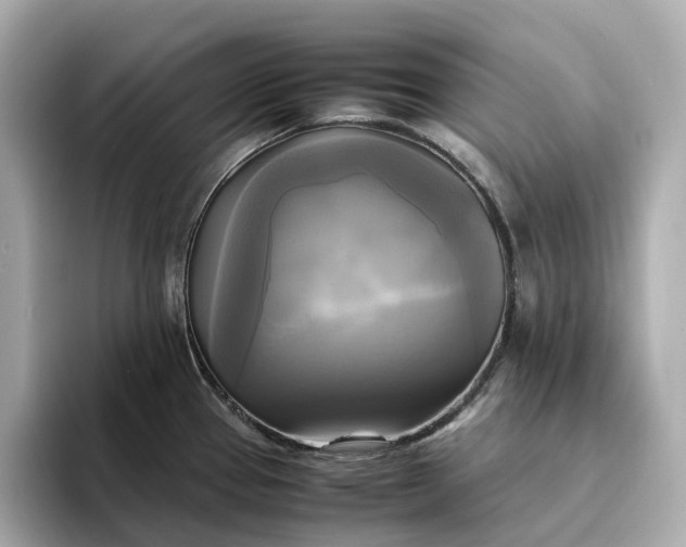 X0000095121337200712211302