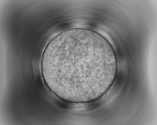 X0000095121338200712211302