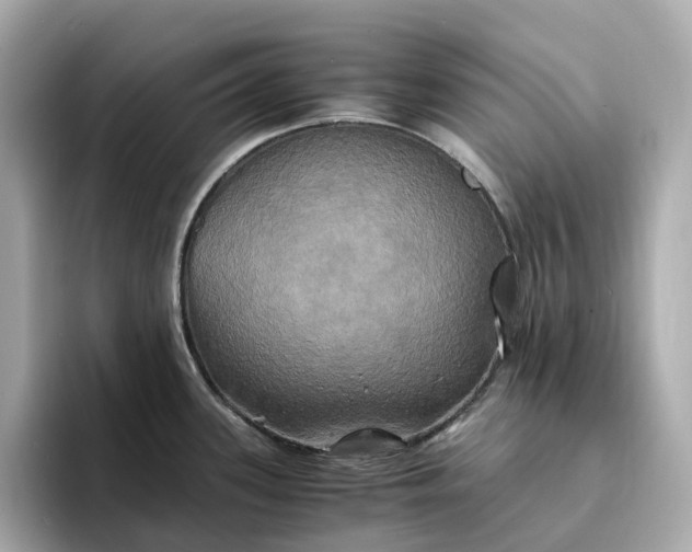 X0000095121339200712211302