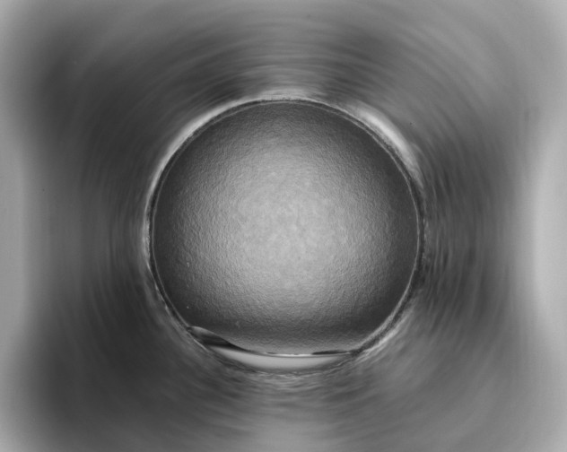 X0000095121340200712211302