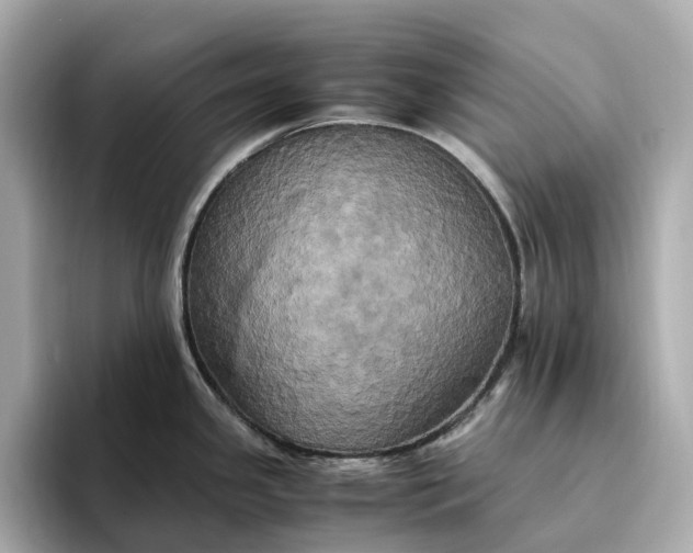 X0000095121341200712211302