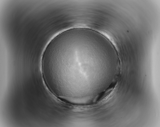 X0000095121342200712211302