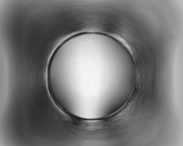 X0000095121343200712211302