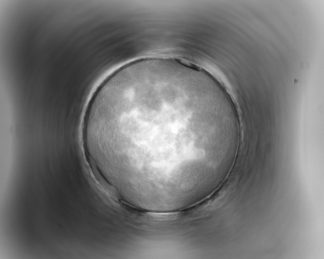 X0000095121344200712211302