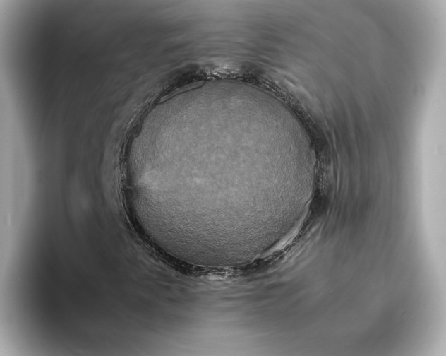 X0000095121345200712211301