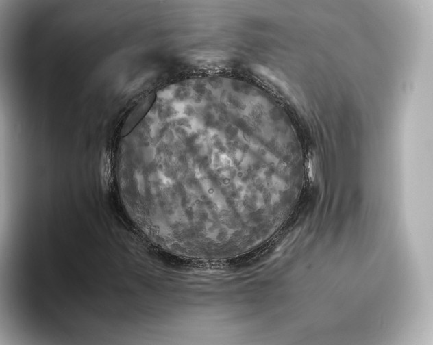 X0000095121347200712211301