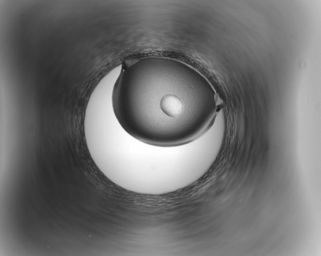 X0000095121348200712211301