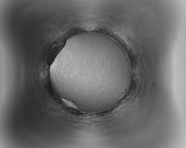 X0000095121349200712211301