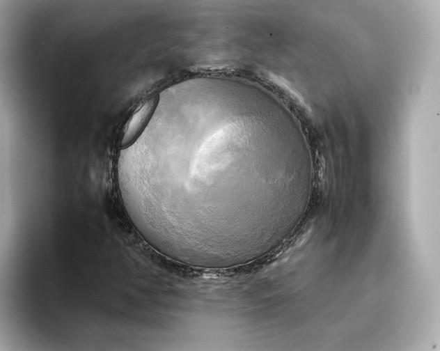 X0000095121350200712211301