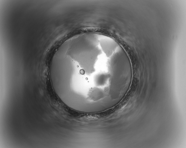 X0000095121351200712211301