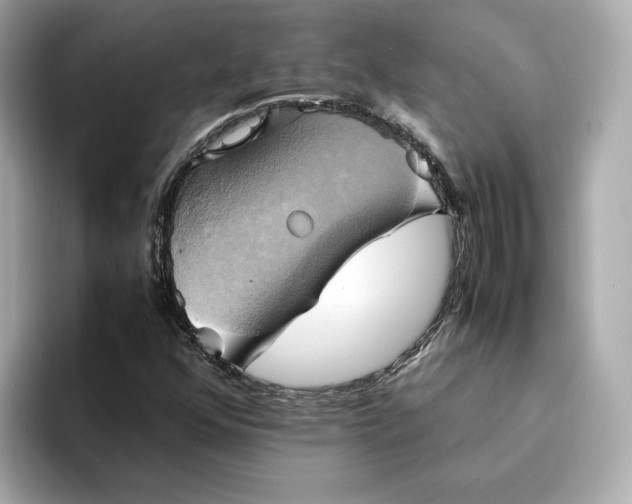 X0000095121352200712211301