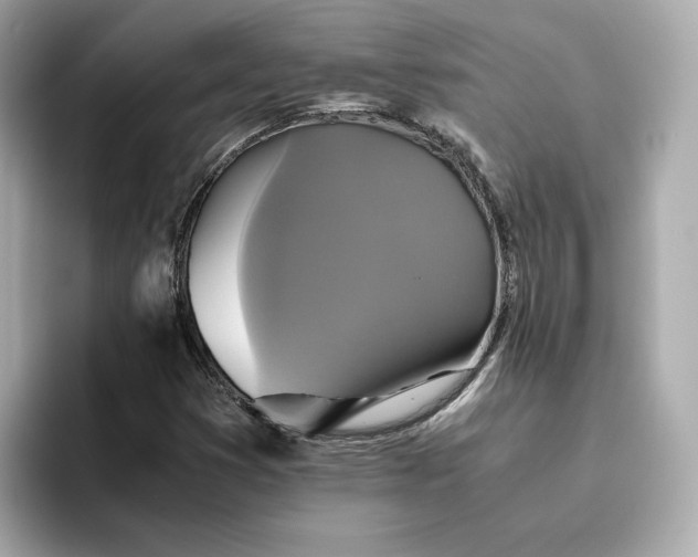 X0000095121353200712211301