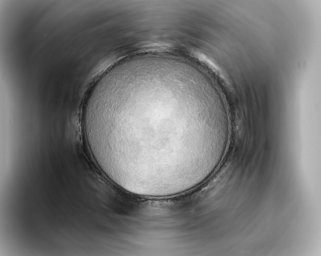 X0000095121354200712211301