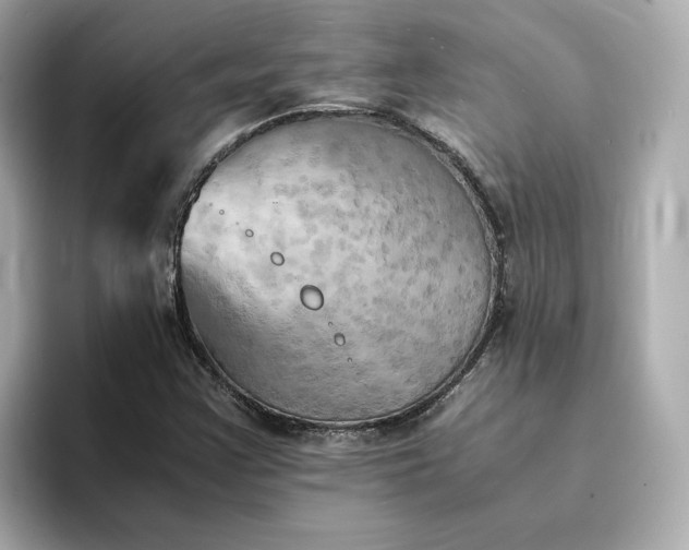 X0000095121355200712211301