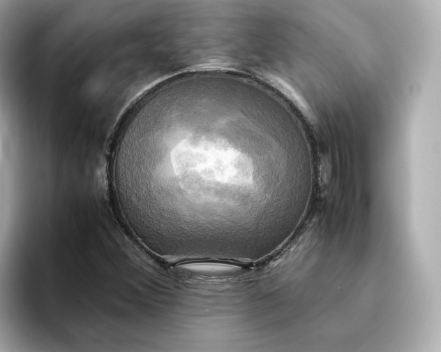 X0000095121356200712211301