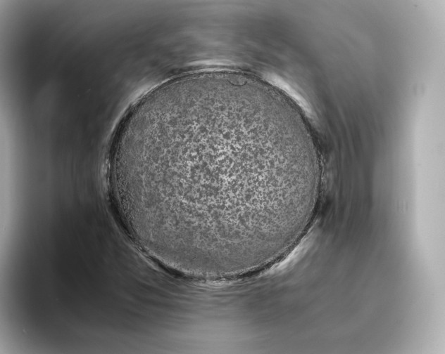 X0000095121357200712211301