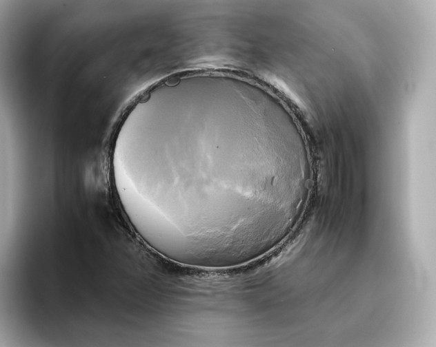 X0000095121358200712211301