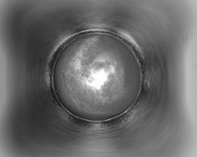 X0000095121360200712211301