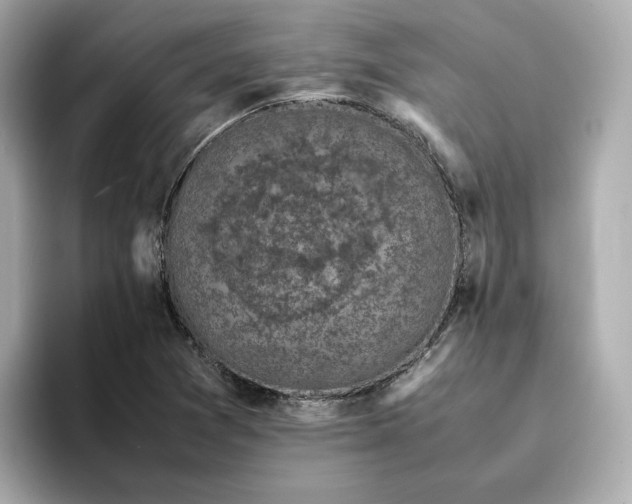 X0000095121361200712211301