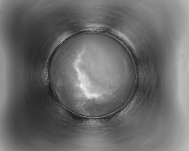 X0000095121362200712211301