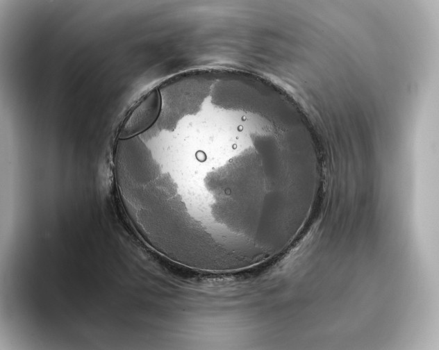 X0000095121363200712211301