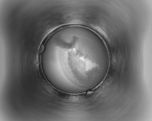 X0000095121364200712211301