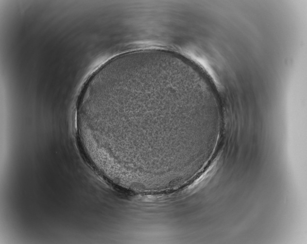 X0000095121365200712211301