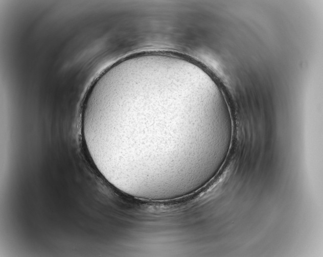 X0000095121366200712211301