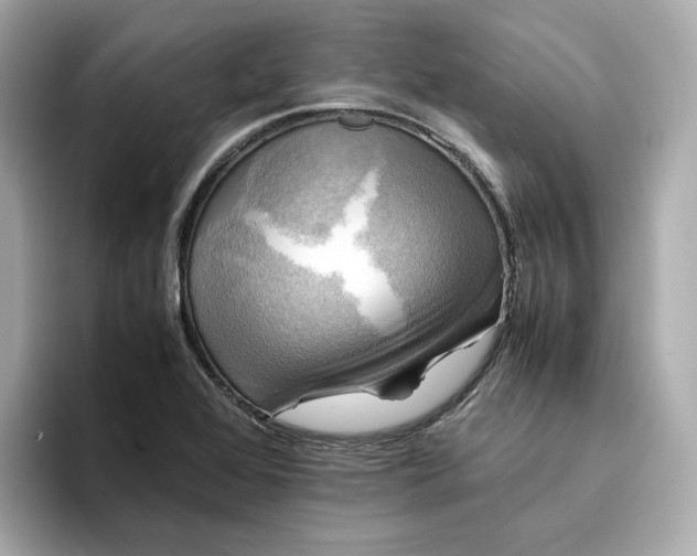 X0000095121368200712211301