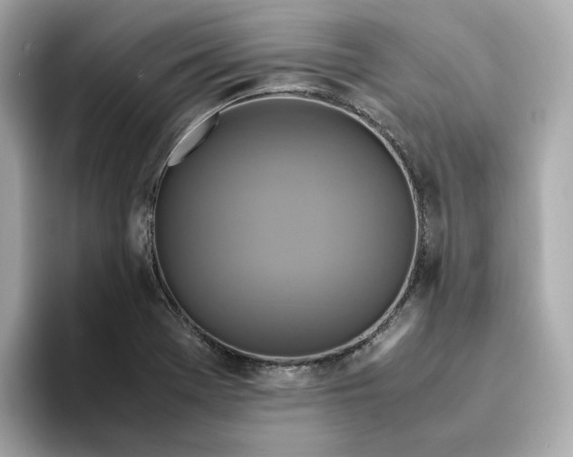 X0000095121369200712211301