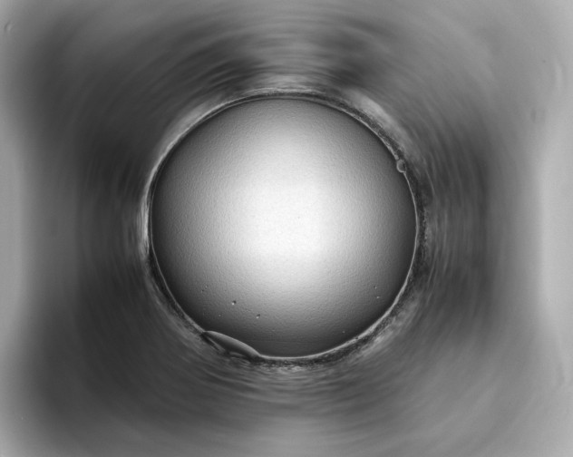 X0000095121370200712211301