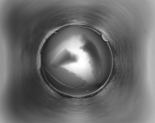 X0000095121371200712211301