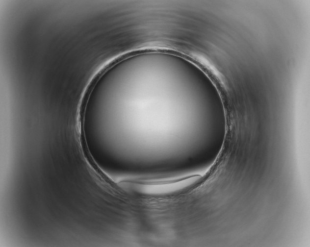 X0000095121372200712211301