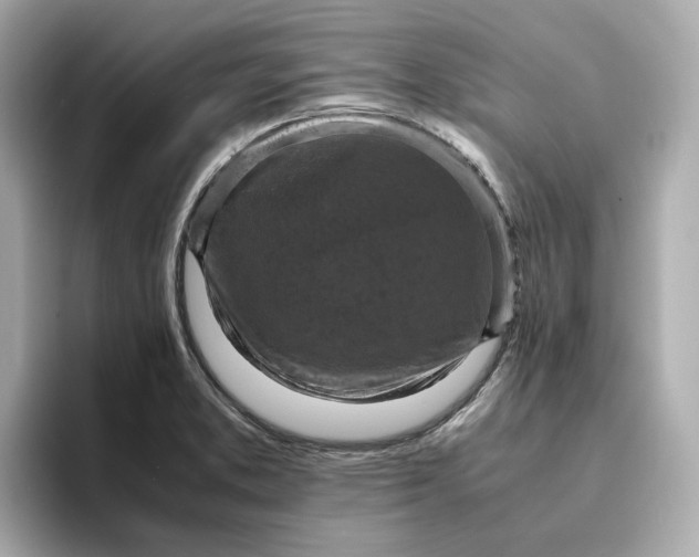 X0000095121373200712211301