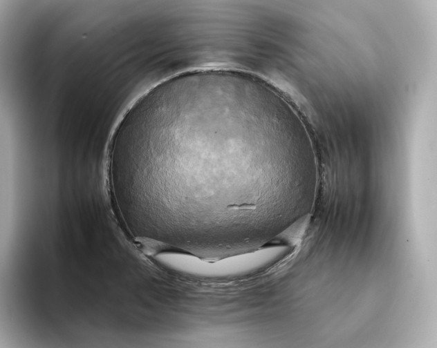 X0000095121374200712211301